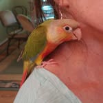 Terri McAdams Bishop - @terrimcadamsbishop - Instagram