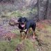 Terry McAvoy - Facebook