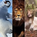 Terry Mcbee - @terry.mcbee.33 - Instagram