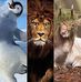 Terry Mcbee - Facebook