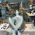 Terry McCaleb - Facebook