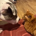 Terry McCann - @tmccann84 - Instagram