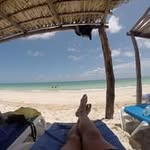 Terry Tourettes Mccann - @mccann5364 - Instagram