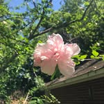 Terry McCary - @texswife - Instagram