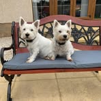 Terry McColl - Facebook