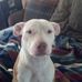 Terry Mccready - Facebook