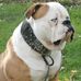 Terry Mccree - Facebook