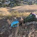 Terry McDonnell - @badgermountain2020 - Instagram