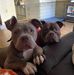 Terry Mcswain - Facebook