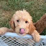 Terry Mcfadden - @tmcfadden7842 - Instagram