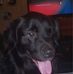 Terry Mcfadden - Facebook