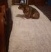 Teresa Hess Mcglothlin - Facebook