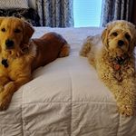 Terry Gibson McGraw - @terry.g.mcgraw - Instagram