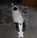 Terry McGrew - Facebook