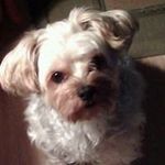 Terry McGrew Truesdell - @truesdellterry - Instagram