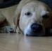 Terry Lee McGuirk - Facebook