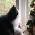 Terry McInnes Edick - @terrymcinnesedick - Instagram