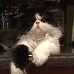 Terry McInnes Edick - @blueyedchyck - Instagram
