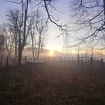 Terry McKim - @mckimterry - Instagram