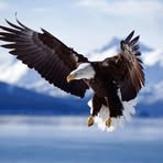 Terry McLain - Facebook
