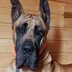 Terry McLane - @terrylmclane - Instagram