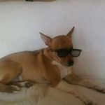 Terry Mclane - @terry.mclane.75 - Instagram