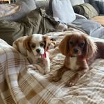 Errin Terry McLellan - @errinmc24 - Instagram