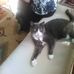 Terry Mclellan - Facebook