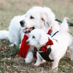 Terri McNeely Webb - @terrimcneelywebb - Instagram