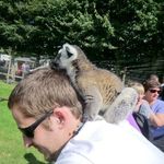 Terry - @terry.mcphail.7 - Instagram