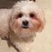 Terry Mcvey - Facebook