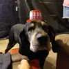 Terry me - @terryme18 - TikTok