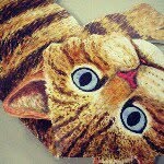 Terry Terai - @terry_me - Instagram