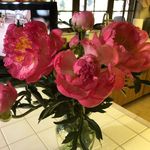 Terry Meadows - @auntterry1 - Instagram