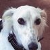 Terry Meads - Facebook
