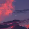 ‧͙⁺˚*･༓☾　☽༓･*˚⁺‧͙ - @terrymeal - TikTok