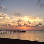 Terri Meaney-Young - @meaneyyoung - Instagram