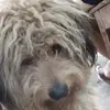 Axel - @terrymena0 - TikTok