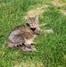 Teresa Mentzer - Facebook