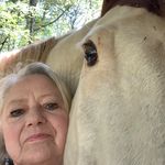 Terri Phillips Mentzer - @terriphillips1956 - Instagram
