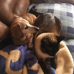 Terry Mentzer - @terryjmentzer - Instagram