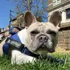 Terry L Michels - @tbear6970 - TikTok