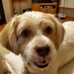 Terry Mickelson - @mickelsonterry - Instagram