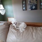Terry Milam - @terry.milam.948 - Instagram