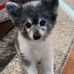 Terry Milam - Facebook