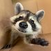 Terry Milam - Facebook