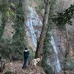 Terri Millsaps - @millsapsterri - Instagram