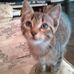 Teresa Minix - Facebook