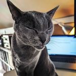 Terry Miracle - @terry.miracle - Instagram