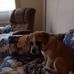 Terry Mitchell - Facebook